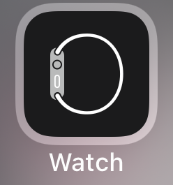 Watch app icon